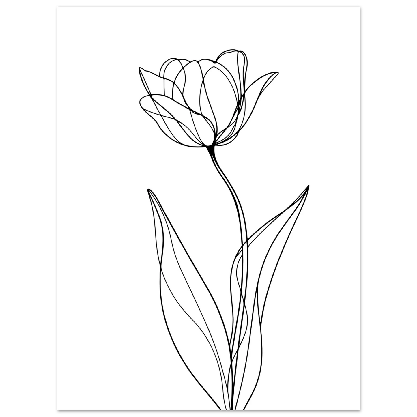 7b8953ed-4cca-4069-ab46-ef479dc692dd