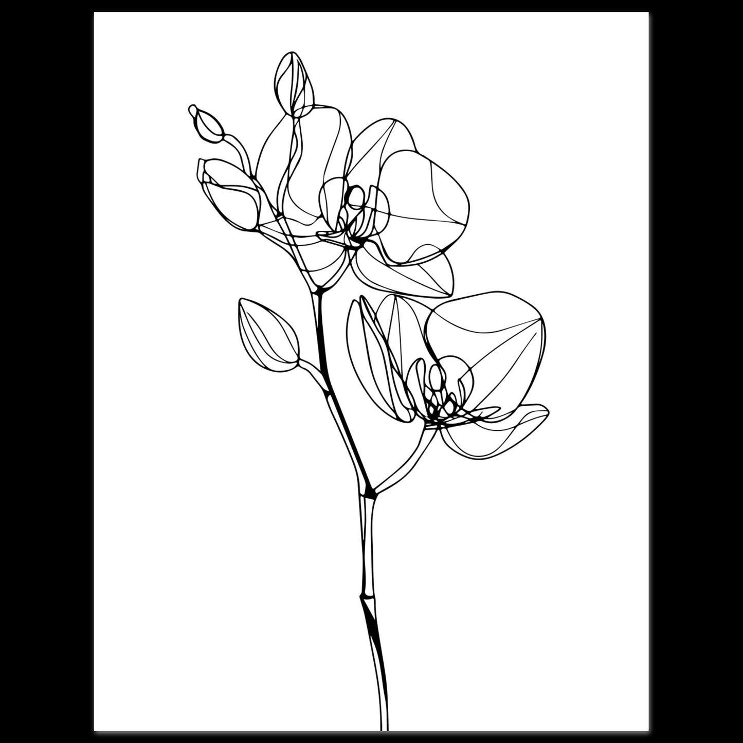 ea27d40f-8716-4d29-960a-43afe011b296